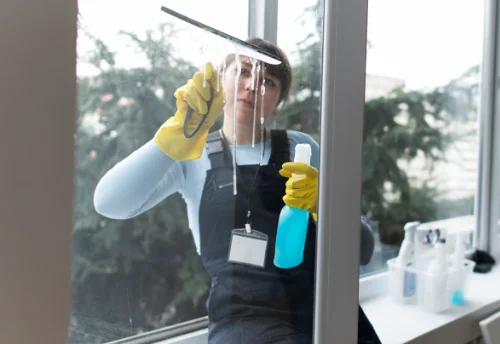 Nettoyage de vitres intérieures et extérieures à Joué-l'Abbé
